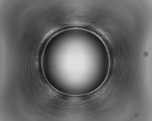 X0000100371307200806131028