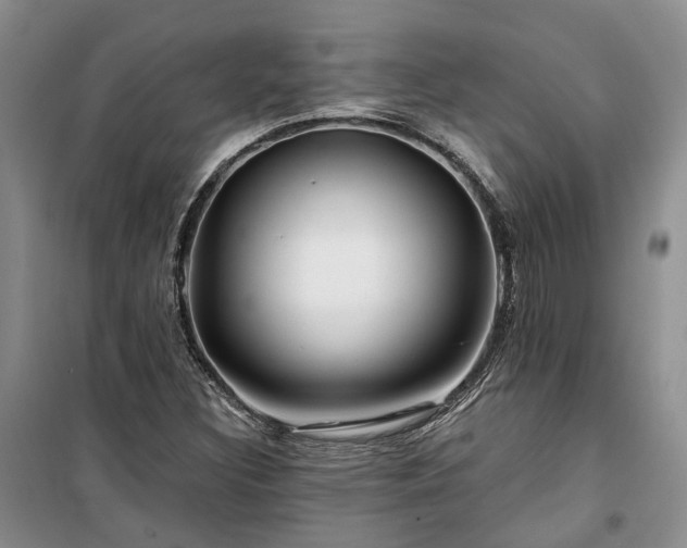 X0000100371308200806131028