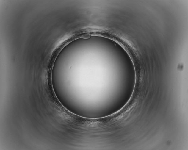 X0000100371309200806131028