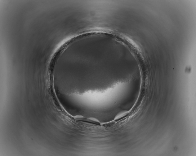 X0000100371310200806131028