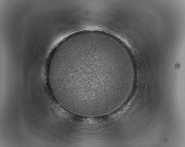 X0000100371311200806131028