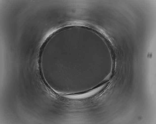 X0000100371312200806131028