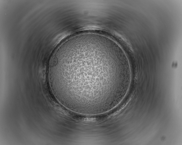 X0000100371313200806131028