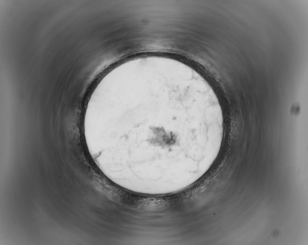 X0000100371314200806131028