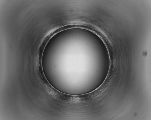 X0000100371315200806131028