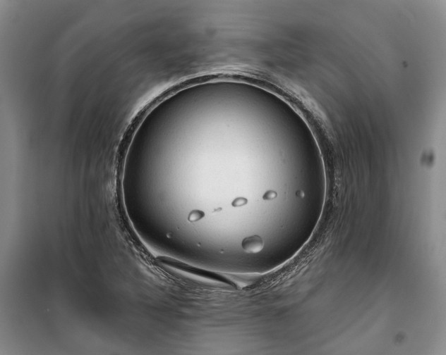 X0000100371316200806131028