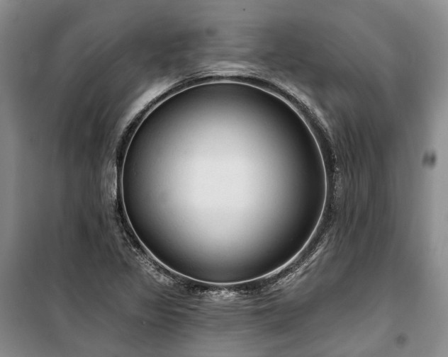 X0000100371317200806131028