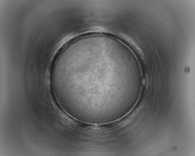 X0000100371318200806131028