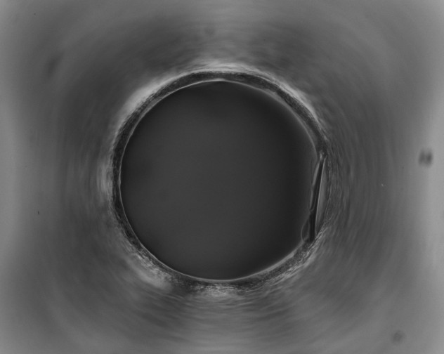 X0000100371319200806131028