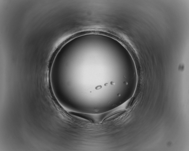 X0000100371320200806131028