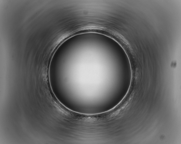 X0000100371321200806131028