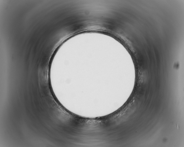 X0000100371322200806131028