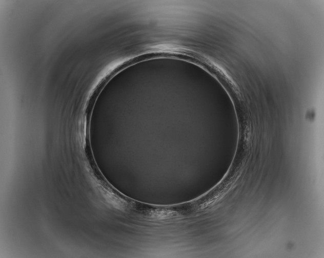 X0000100371323200806131028