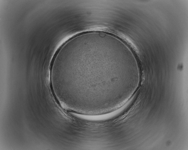 X0000100371324200806131028