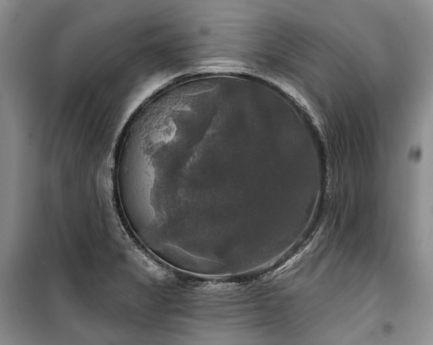 X0000100371325200806131028