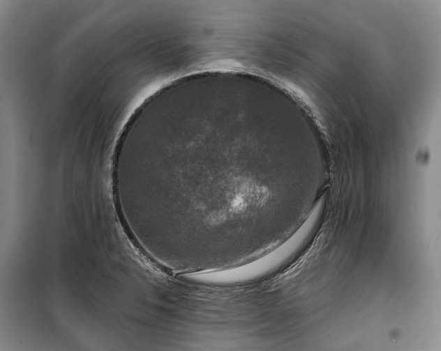 X0000100371326200806131028