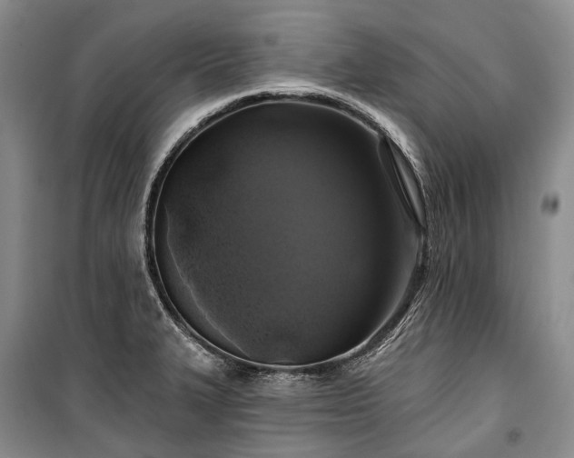 X0000100371327200806131028