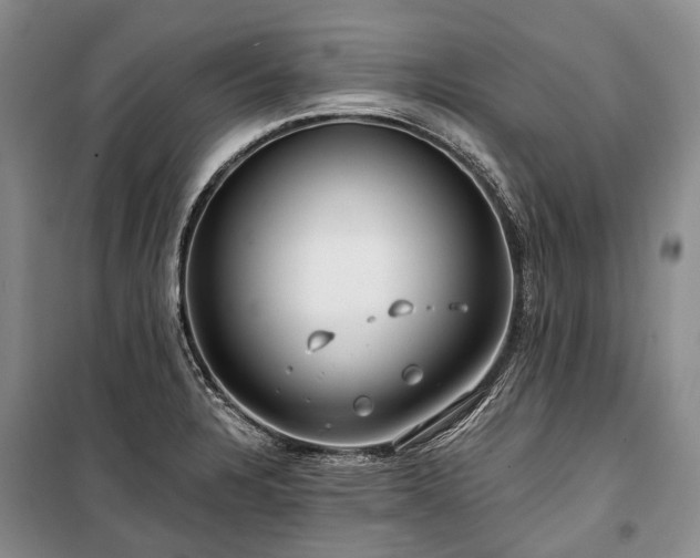 X0000100371328200806131028