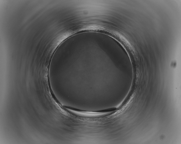 X0000100371329200806131028