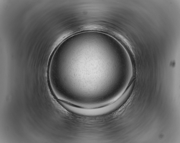 X0000100371330200806131028