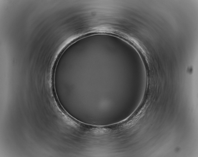 X0000100371331200806131028