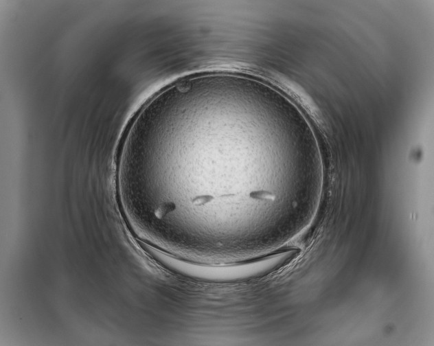 X0000100371332200806131028