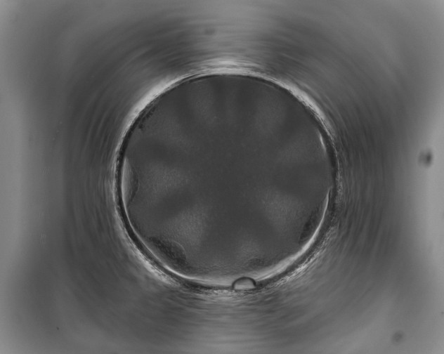 X0000100371333200806131028