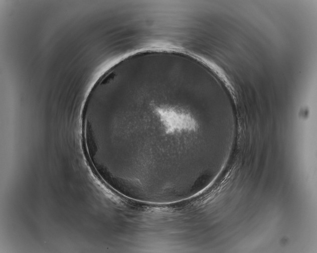 X0000100371335200806131028