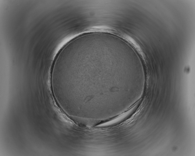 X0000100371336200806131028