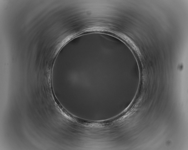 X0000100371337200806131028