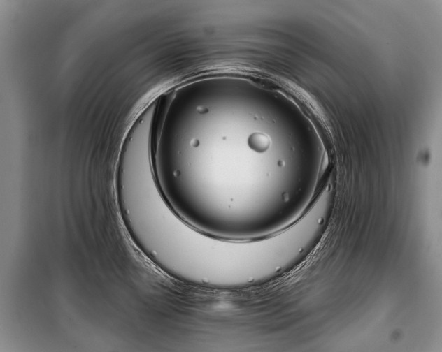 X0000100371338200806131028