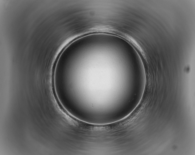 X0000100371339200806131028