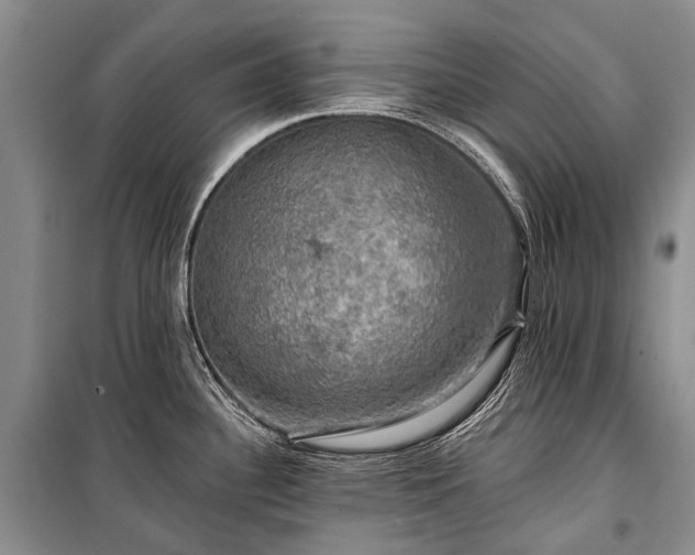 X0000100371340200806131028