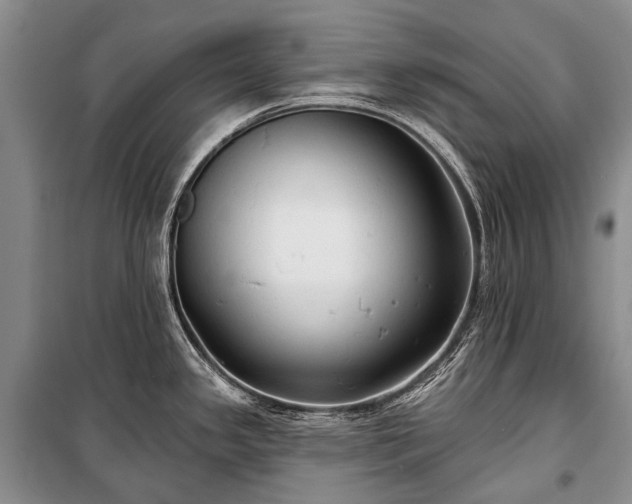 X0000100371341200806131028