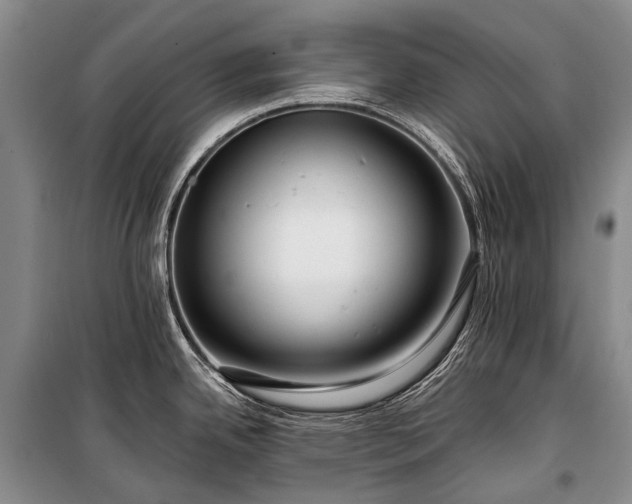 X0000100371342200806131028