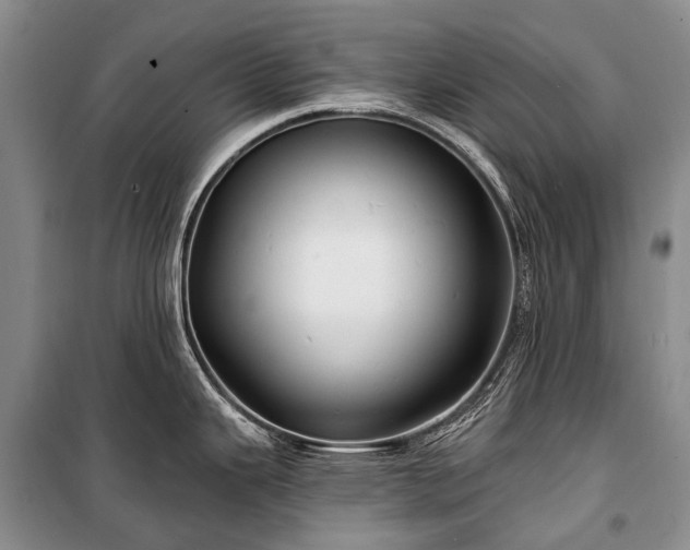 X0000100371343200806131028