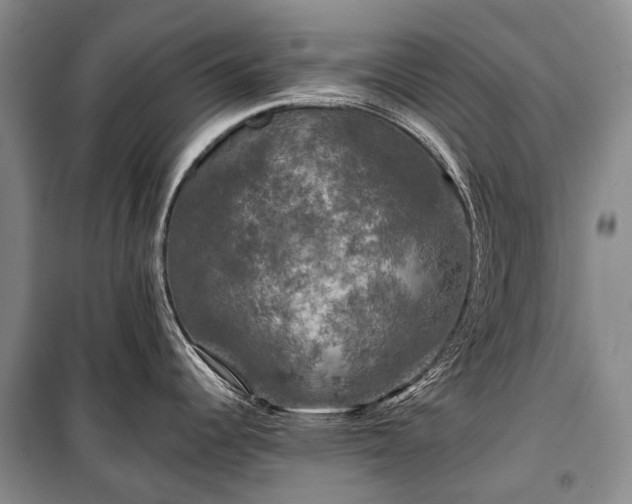 X0000100371344200806131029