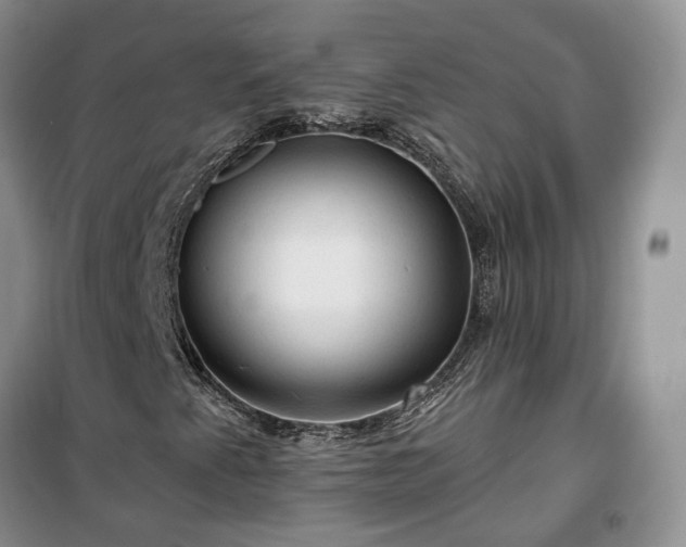 X0000100371345200806131028