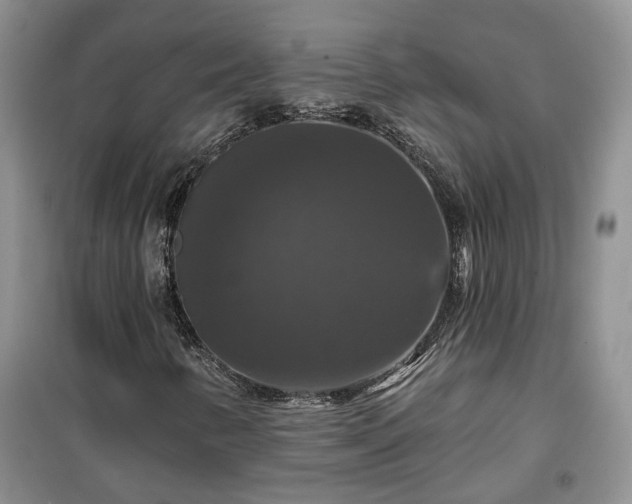 X0000100371346200806131028