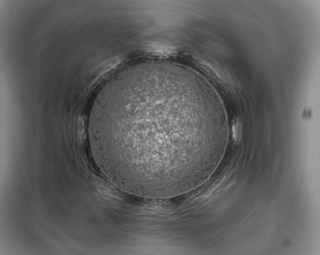 X0000100371347200806131028