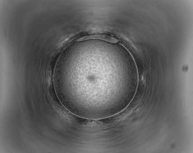 X0000100371348200806131028