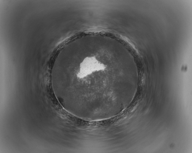 X0000100371350200806131028