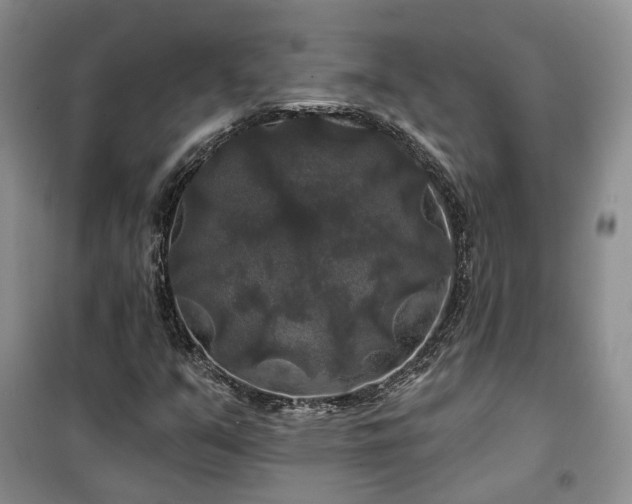 X0000100371351200806131028