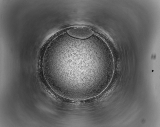 X0000100371352200806131028