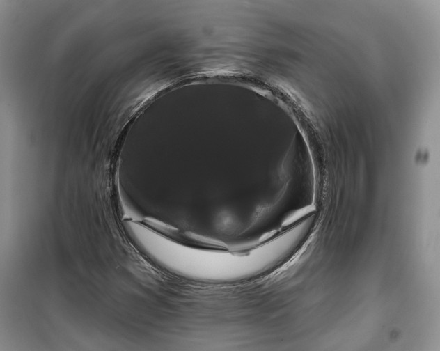 X0000100371353200806131028