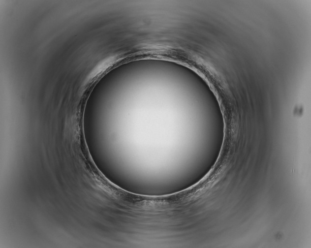 X0000100371354200806131028