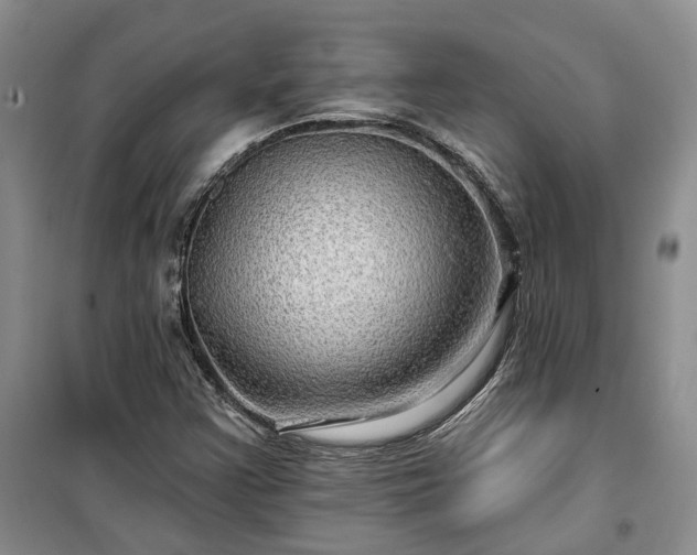 X0000100371355200806131028