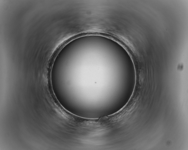 X0000100371356200806131028