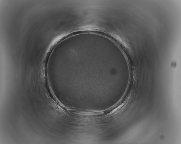 X0000100371358200806131028