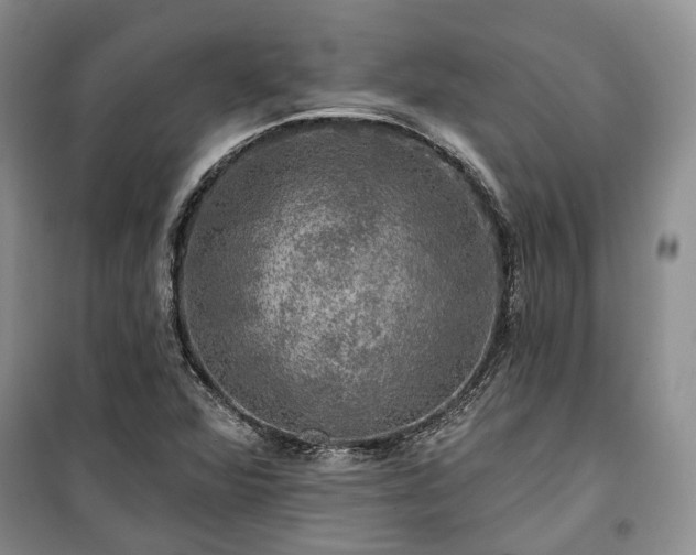 X0000100371360200806131028